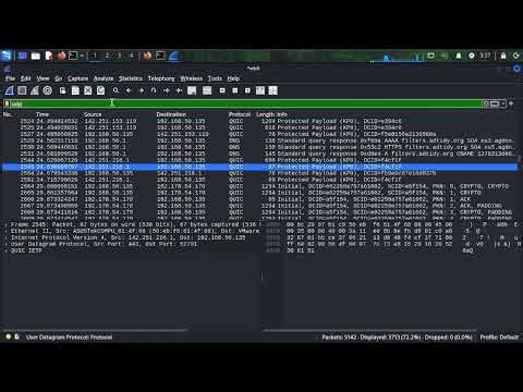 Network Scanning and Nmap ---Cybersecurity and Ethical Hacking EP 5