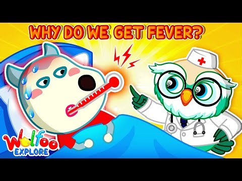 Why Do We Get a Fever? 🌡️ | 🔍Wolfoo Explore - Human Body | Educational Videos