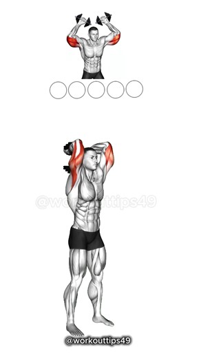The Ultimate Dumbbell Tricep Routine! Try these next Arm Day. 💪 #tricepsworkout #armday #dumbbellworkout #gymtok #fitness