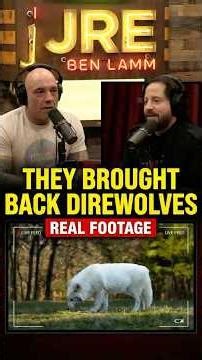 They Actually Brought Back Dire Wolves (Real Footage) 🐺🧬