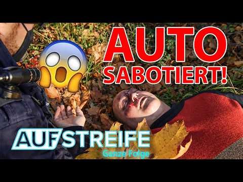 Unfall durch SABOTAGE: Auto-Diebstahl endet im Horror-Crash! | Auf Streife-Ganze Folge | SAT.1