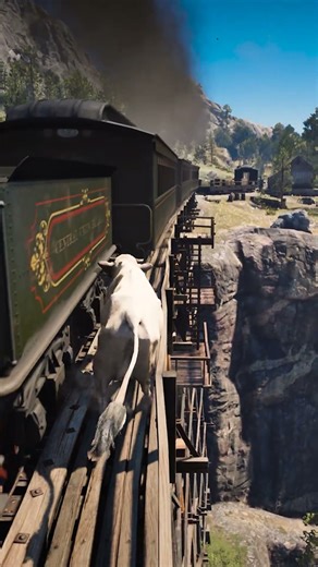 p1013 Simulate great survival skills , #shorts