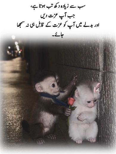 Mirza Ghalib Poetry: Deep Words & Shayari 🥀