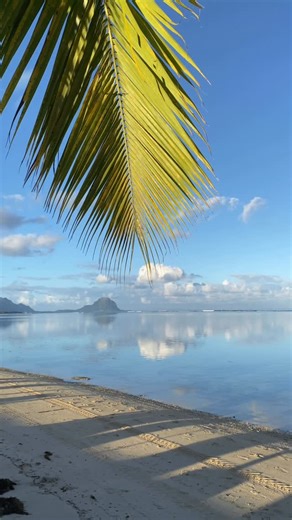 Mauritius Island on Instagram: "Morning walk along Flic en flac beach with le Morne in the background Flic en flac beach is one of the longest beaches of the island, it will take you just over an hour to walk all the way back amd forth #ilemaurice #mauritius #mauritiusisland #mauritiusexplored #travel"