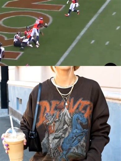 Denver Broncos 2015 Defense: A Remarkable No Fly Zone