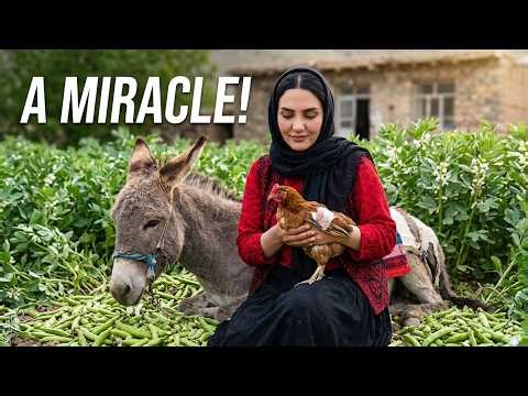 IRAN Daily Village Life After War | Amazing Cooking & Rural Dinner