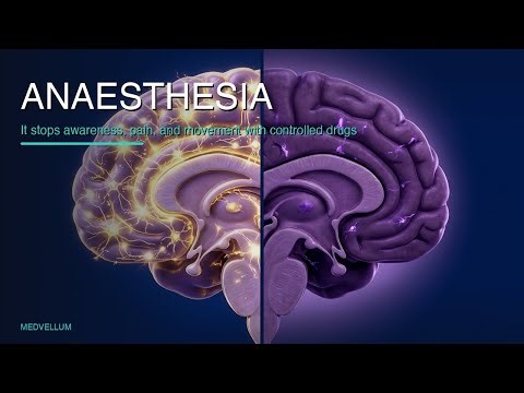 Anesthesia: How It Works and What Risks Matter