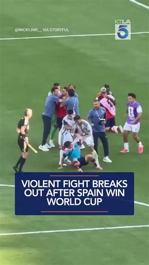 Violent fight breaks out after Spain win World Cup