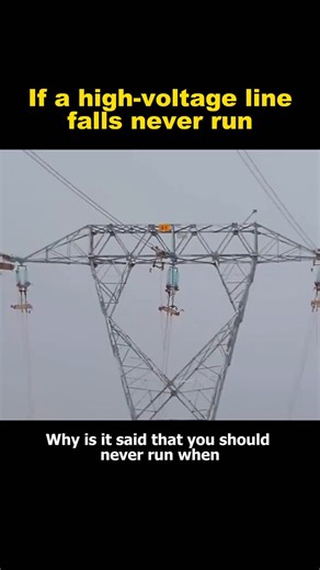 Here’s why you should never run if a high-voltage power line falls, it is very dangerous.
