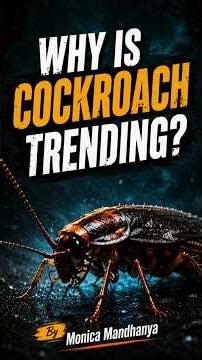 What Is Cockroach Janta Party? India’s Viral Gen Z Movement Explained