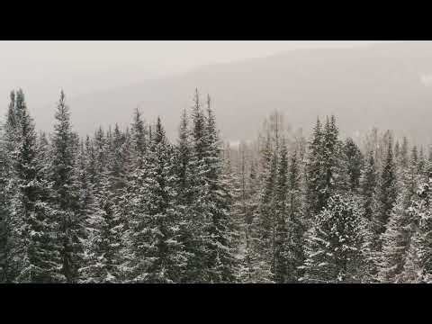 Vine Hulpe Di La Munte-Afro House Carol Remix-Nomad‑88 ft. A‑lex Nomara