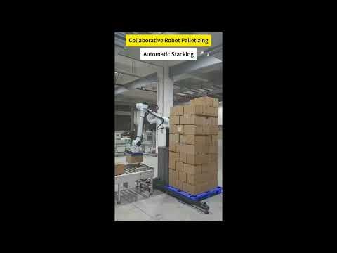 High Reach Collaborative Robot | for Stacking Carton Cases Up to 2900mm
