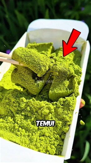 Jepang Punya Hal Unik yang Nggak Ada di Negara Lain! 🇯🇵😱