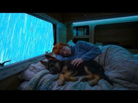 Rain Sounds for Sleeping | Calm Forest Rain on a Cozy Car with Soft Thunder | Relaxing ASMR Sounds