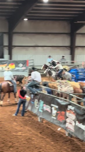 Exploring Grey Horses in AQHA Events