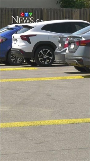 Charges laid in 'hate motivated' hit-and-run