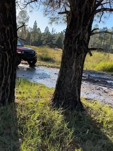 Not who you want behind the wheel 😭🫣 #fail #cars #baddriver #funny #comedy #crashout #fyp