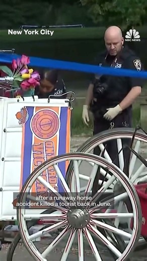 NYC passes bill to ban horse-drawn carriages