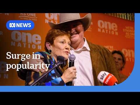 One Nation Australia’s most popular party according to RedBridge poll | ABC NEWS