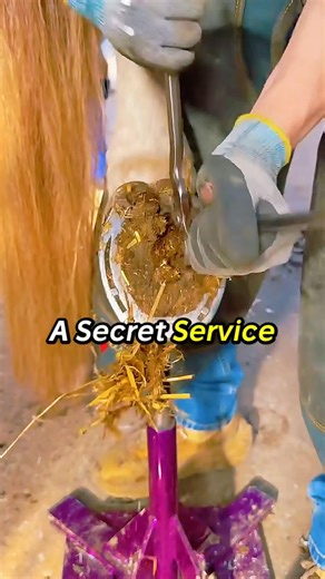 Secret Service Enters A Room — And Already Knows Everything #discipline #military #mentalstrength