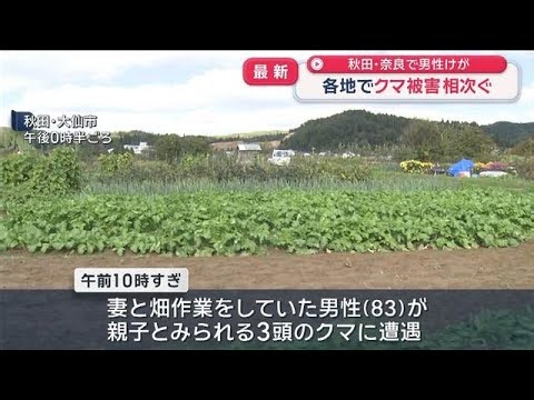 クマ被害 各地で相次ぐ　秋田と奈良で男性けが【スーパーJチャンネル】(2026年10月17日)