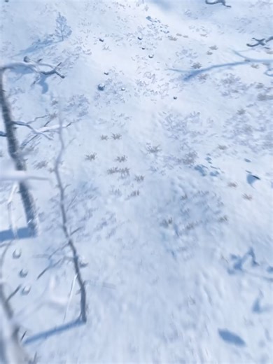 Explore the Thrills of Rust Gameplay in Scandinavia