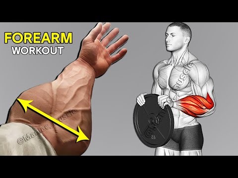 Try These Routine forearms Workout for Crazy Results ( Very Effective )