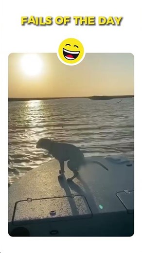 Stove Explosion & Grill Fails 💀 Epic Funny Clips #shorts