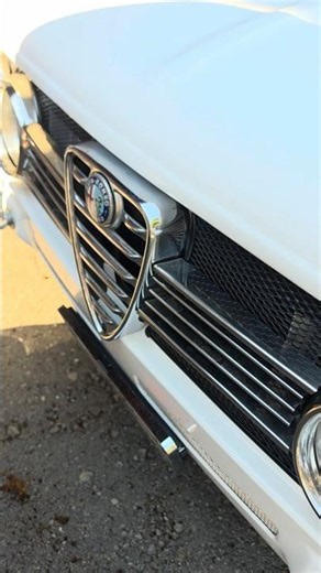 Alfa Romeo Giulia 1600 Super — Classic Italian Bite #automobile