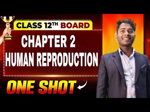 Chapter - 2. Human Reproduction