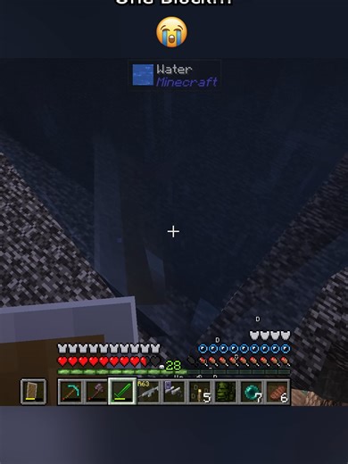 Skyblock Dwellers: Surviving the One Block Challenge