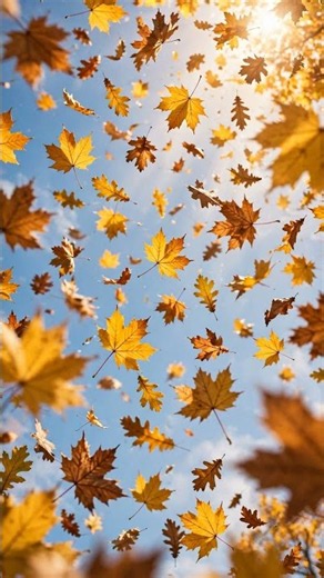 Gratitude Is a Doorway 🙏 | Psalm 100 — Midday Prayer of Thanksgiving