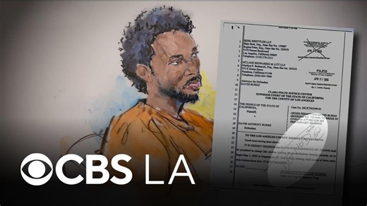 LA County medical examiner discusses autopsy report for teenage girl allegedly killed by D4vd