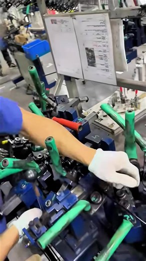 #curiosidades #datoraro