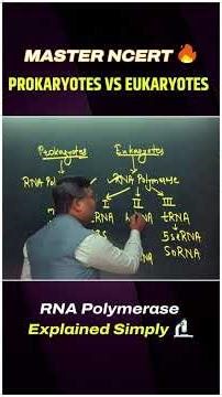Prokaryotes vs Eukaryotes: RNA Polymerase Explained Simply 🔬