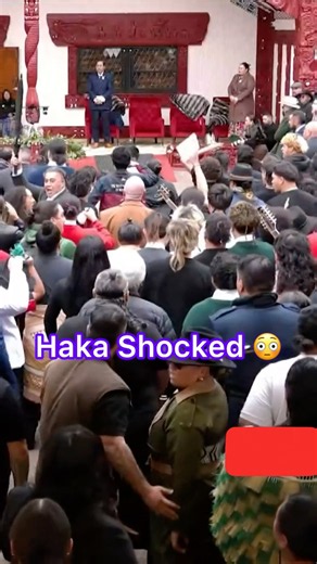 Maori Haka Dance In New Zealand