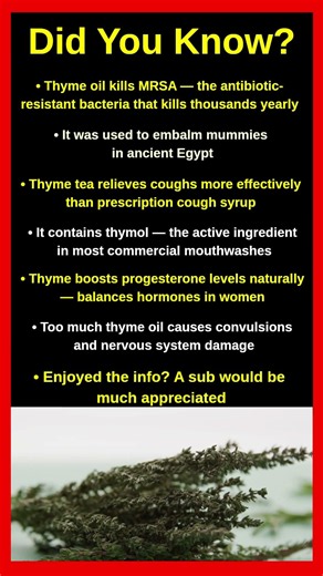 Shocking Facts About Thyme That Will Blow Your Mind 🌿😱