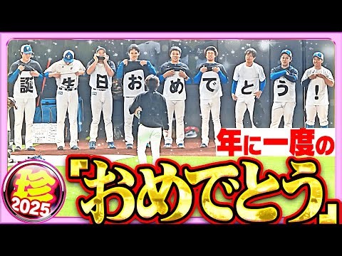【HBD】年に一度のアレ【珍プレー2025】