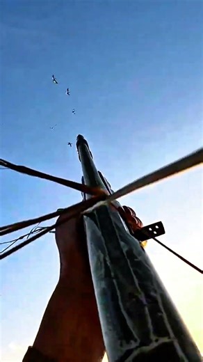 Goose Action Never Stops 🔥🦆|#birdhunting #hunting #huntingbirds #hunter #goosehunt #goosehunting #yt