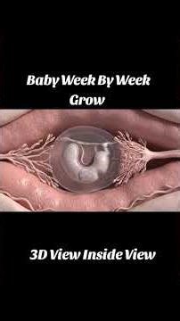 Baby Growth Week by Week | Amazing Journey from Conception to Birth