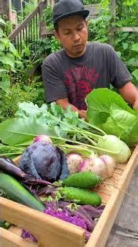 Think you need a big backyard to grow your own vegetables? Think again.