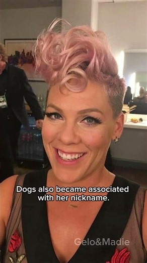 Pink’s REAL Name Will Surprise You! 😱🤯 | Facts About Pink