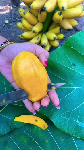 Mango Fruit #mango
