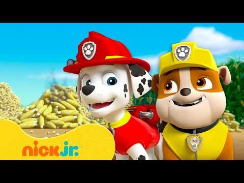 Paw Patrol | ¡Los momentos más valientes de Rubble y Marshall! 🐾 | Nick Jr. en Español