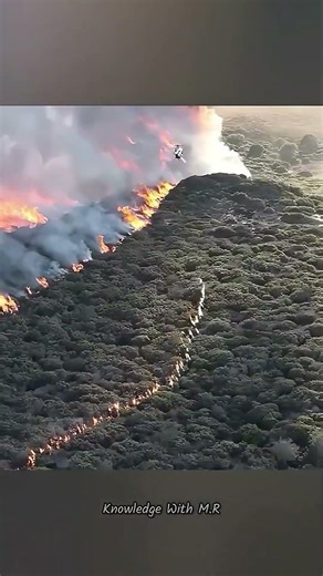 Using Fire To Extinguish Fire! 🔥