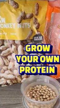 Free Food From Your Pantry (It Actually Works) #hack #gardening #survival