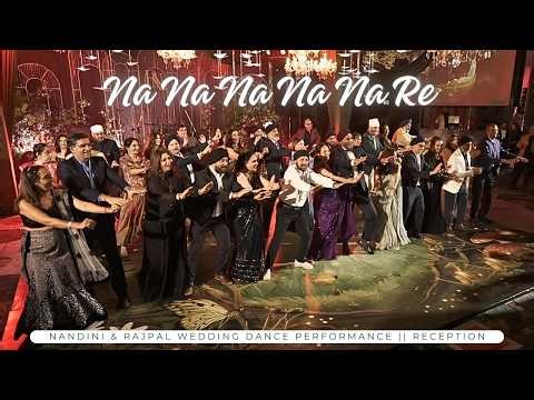 Na Na Na Na Na Re || Nandini & Rajpal Wedding Dance Performance || Reception