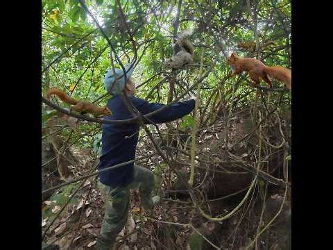 Trapping a Squirrel with Metal Cage & Cooking Over Fire