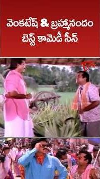 Venkatesh & Brahmanandam Best Comedy Scene #Brahmanandam #Venkatesh #Meena #ytshorts #comedy #shorts