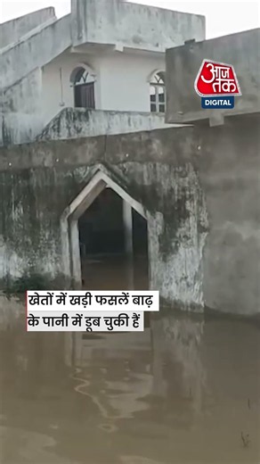 Bihar Flood बिहार के मनेर में ‘फौजियों के गांव’ में घुसा बाढ़ का पानी| #biharflood #shorts #aajtak